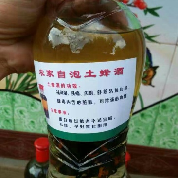 土蜂蜂蛹野生