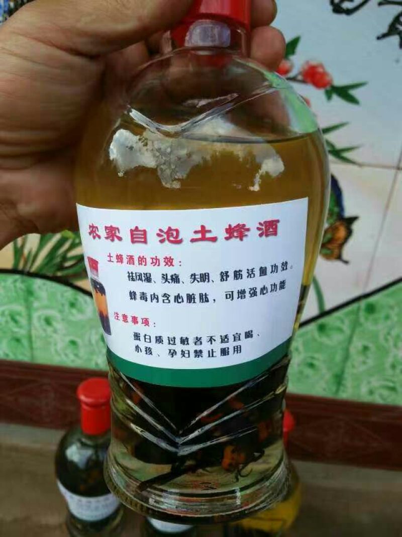 土蜂蜂蛹野生