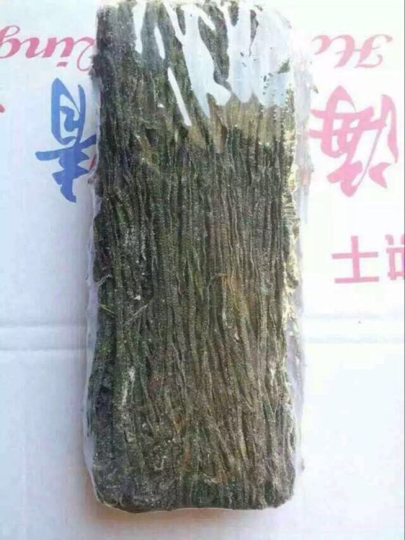 干海带丝厂家直销海带丝烘干海带丝盐渍脱水海带