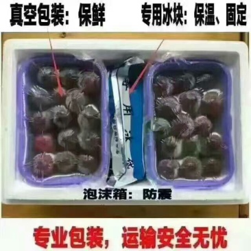 仙居杨梅超级好吃