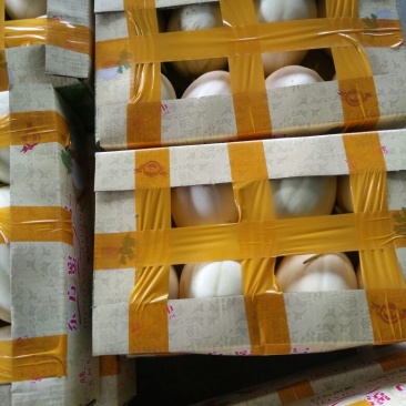 东方蜜1号甜瓜精品1斤以上