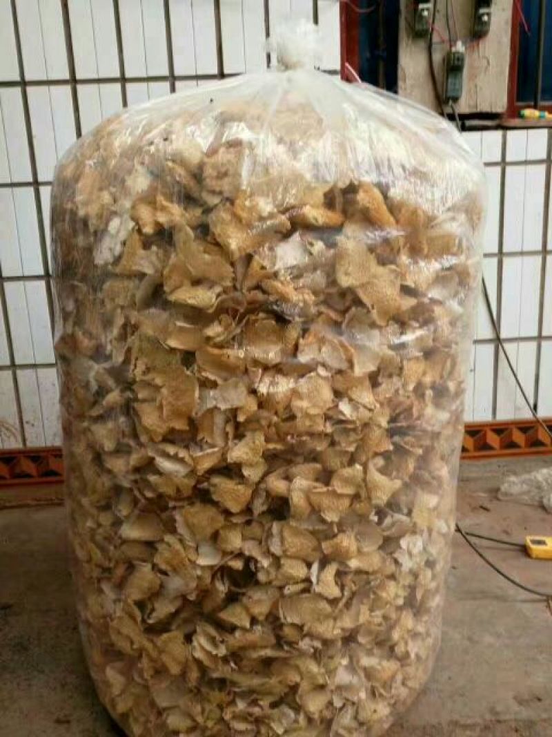 长裙竹荪特级