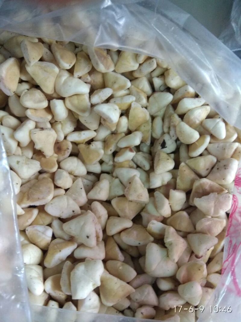 菱角野菱