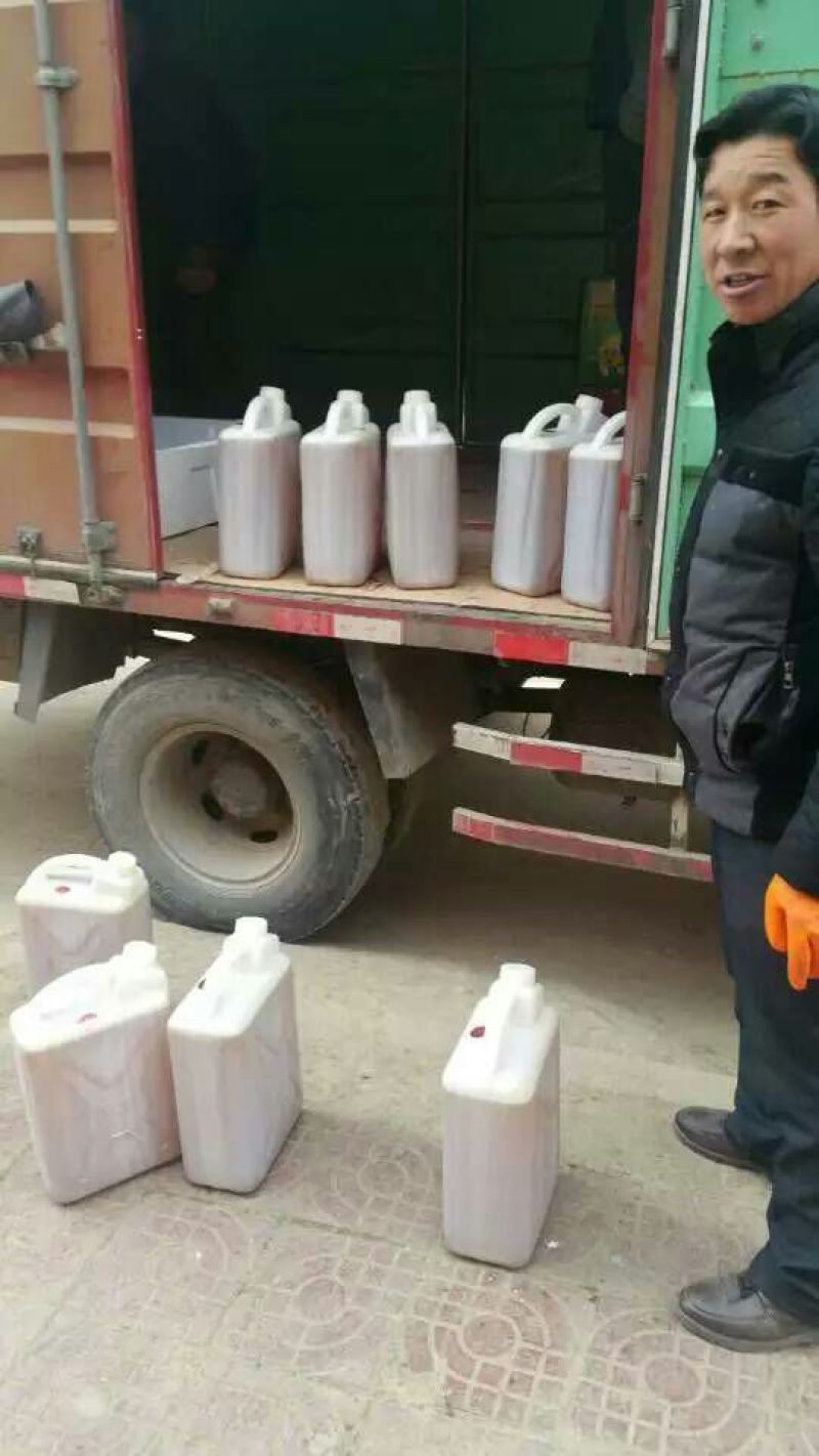 包邮胡麻油（绿色健康无污染）