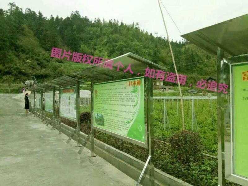 八月瓜苗三年以上苗。明年挂果