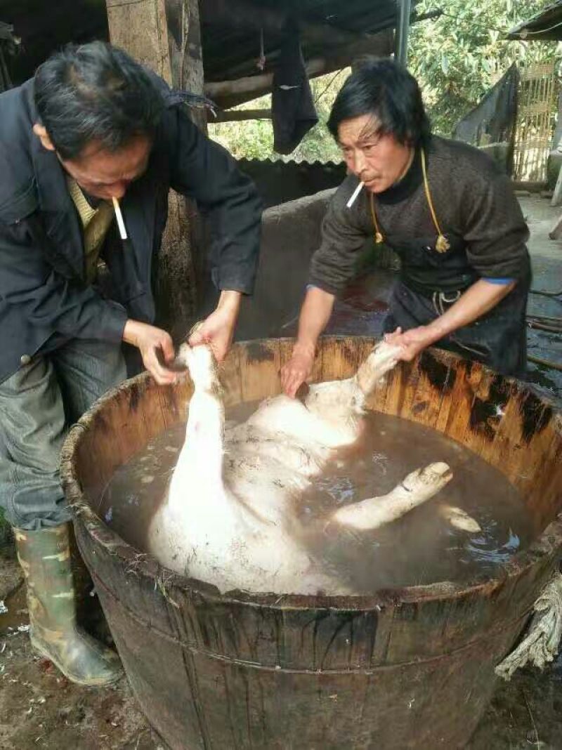 香肠