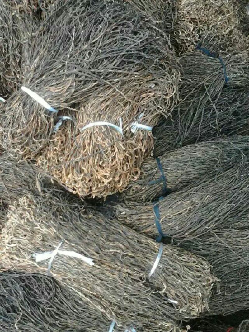 干豆角丝30厘米以上