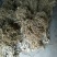 大蒜混级统货干蒜大量本地香蒜头、