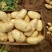 土豆批发荷兰15土豆黄皮黄心产地直销价格便宜