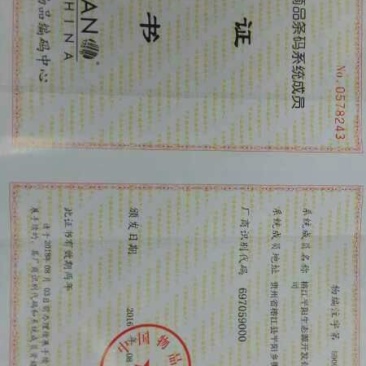 青钱柳茶二级