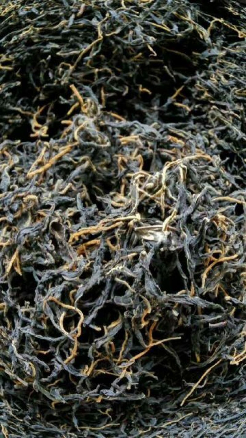 青钱柳茶二级