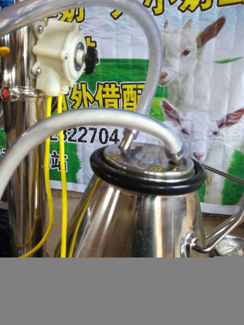 羊奶新鲜现挤羊奶林中放养鲜羊奶生鲜农产品，全国批发