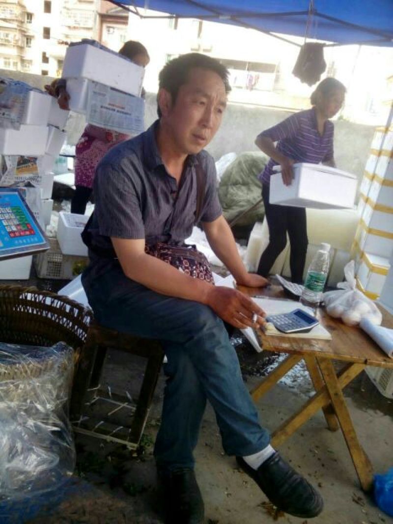 红叶香椿苗大棚60~70cm