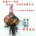 重瓣香水百合种球大花苗室内阳台四季开花盆栽植物花卉带芽发