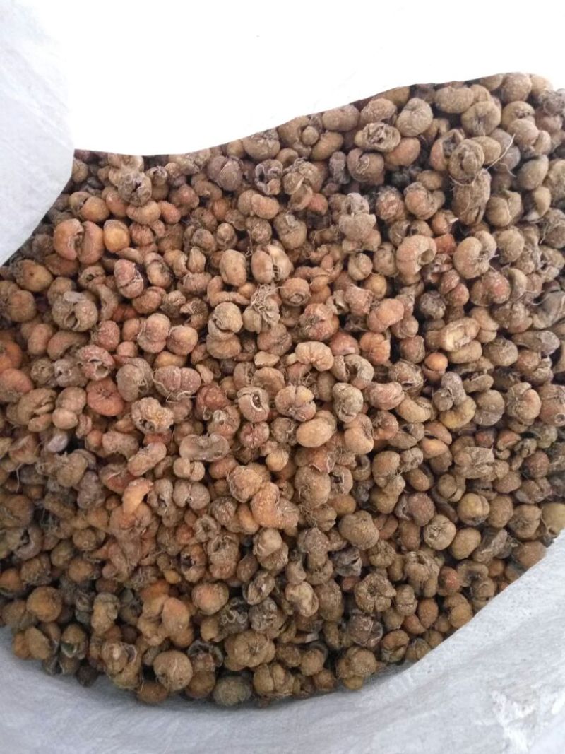 浙贝母家种小统个，贝母片，药厂大货，欢迎选购。