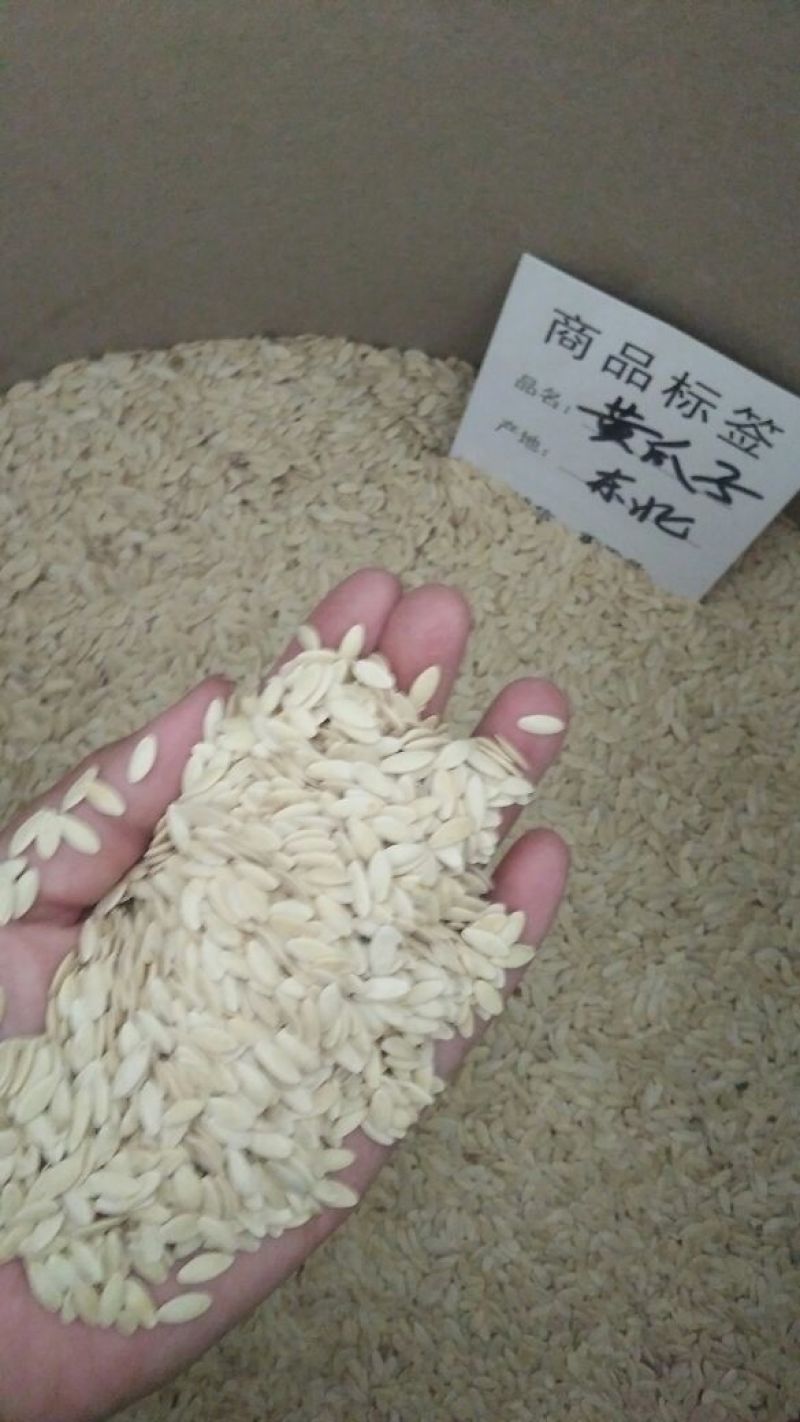 黄瓜子籽药用不是种子可打粉炒着吃各种中药材批发零售