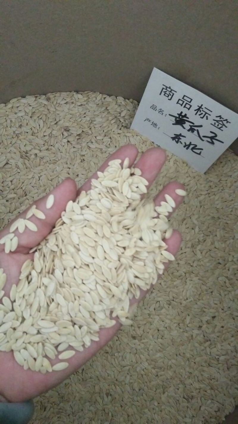 黄瓜子籽药用不是种子可打粉炒着吃各种中药材批发零售