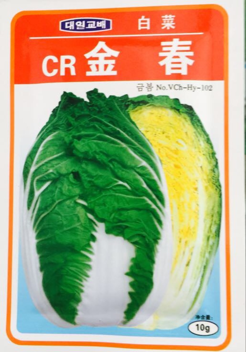 白菜种子