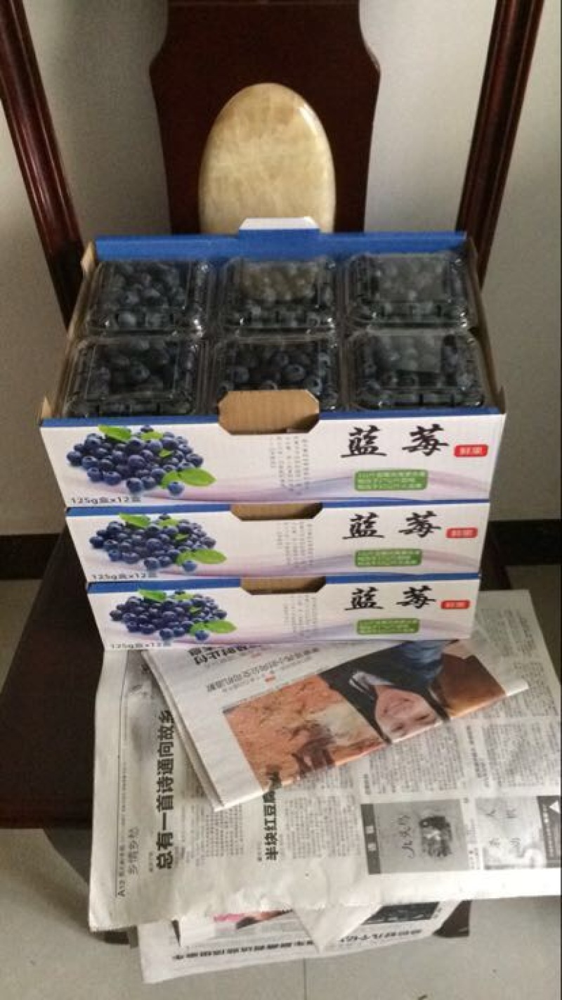 南高丛蓝莓