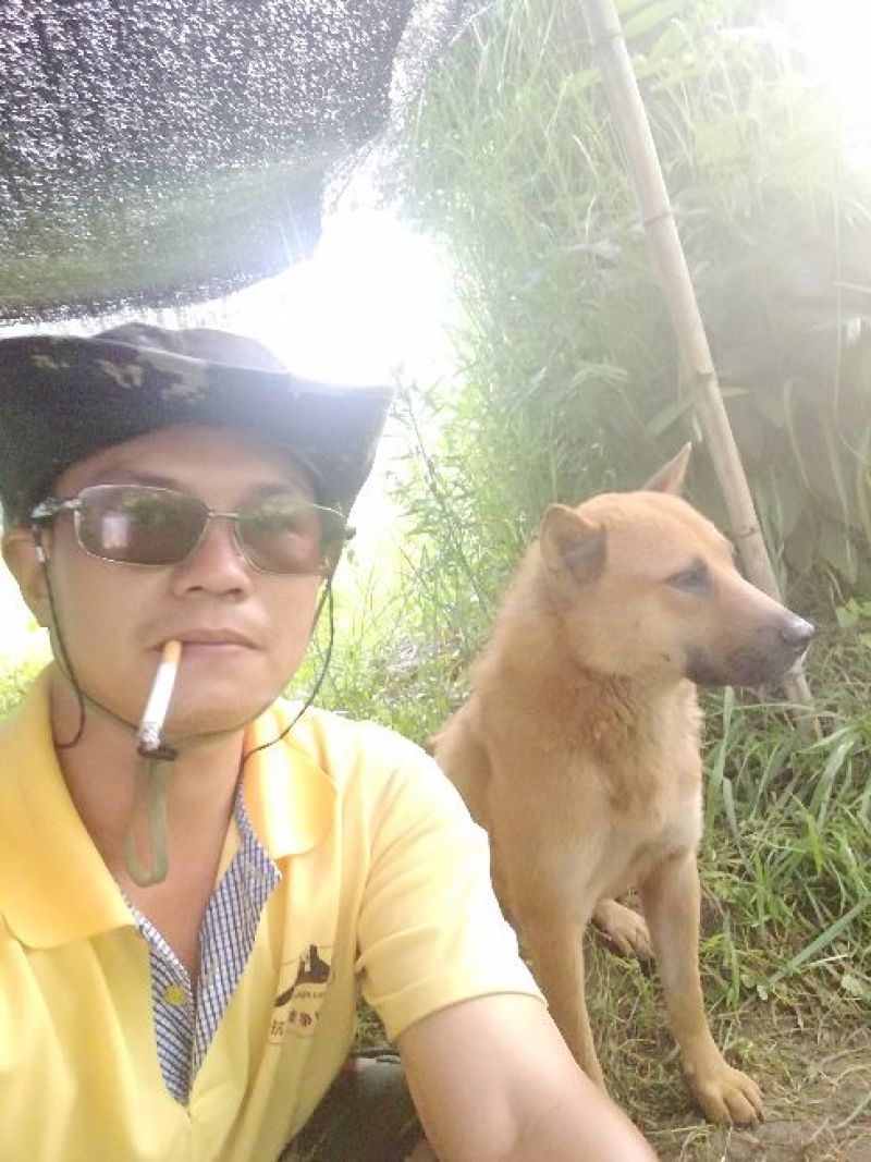 干竹荪特级