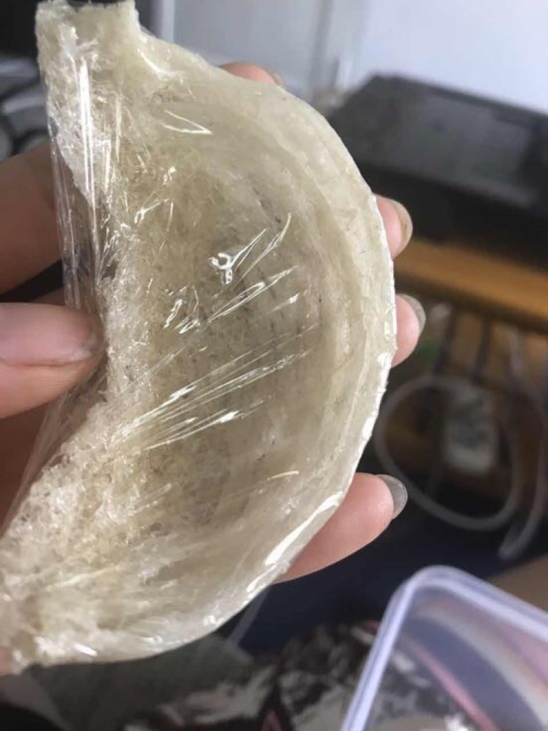 燕窝