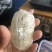 燕窝