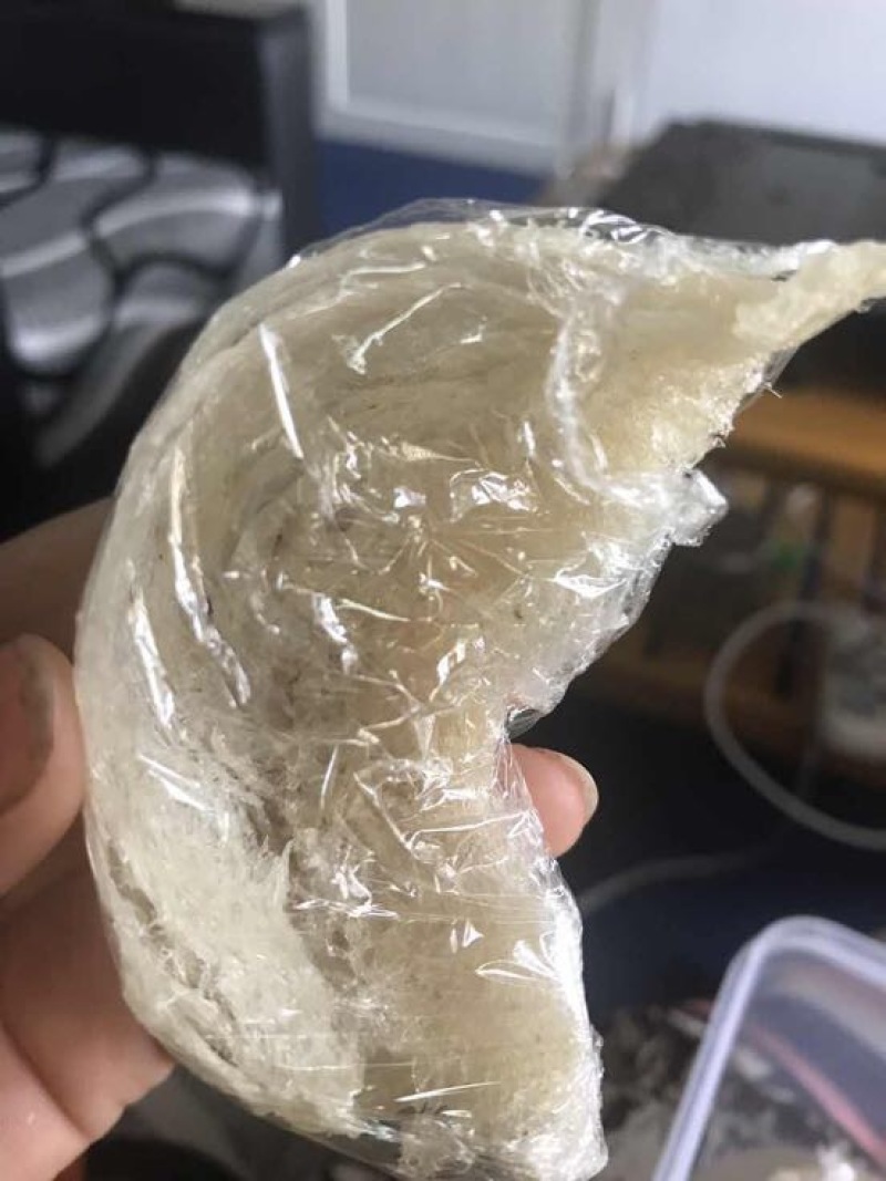 燕窝