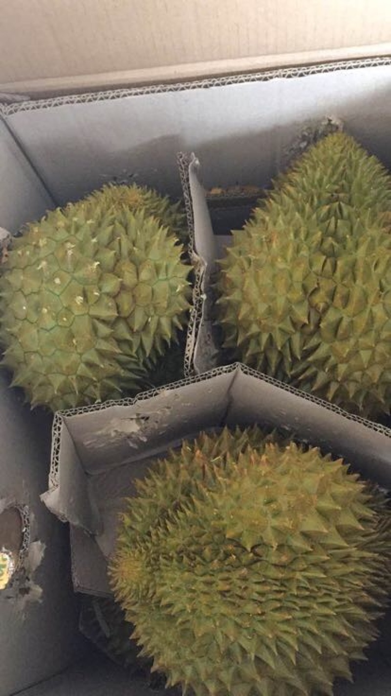 金枕头榴莲