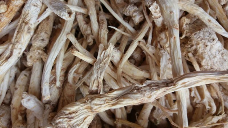 南沙参干刮皮统野生