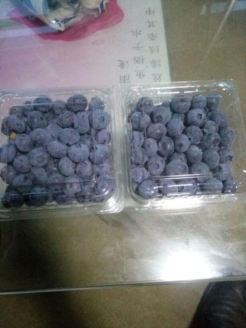 蓝丰蓝莓鲜果10~12mm以上