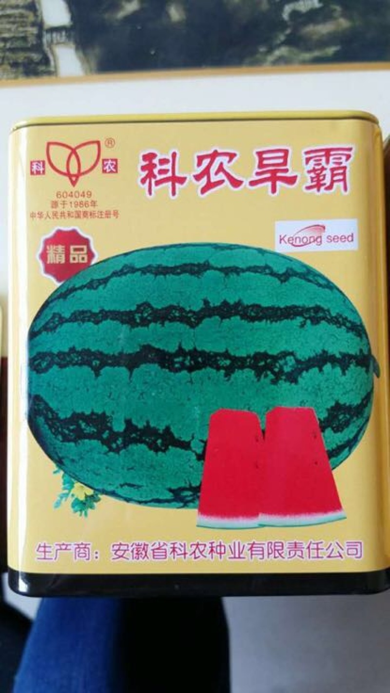 超耐旱西瓜种子～科龙旱霸