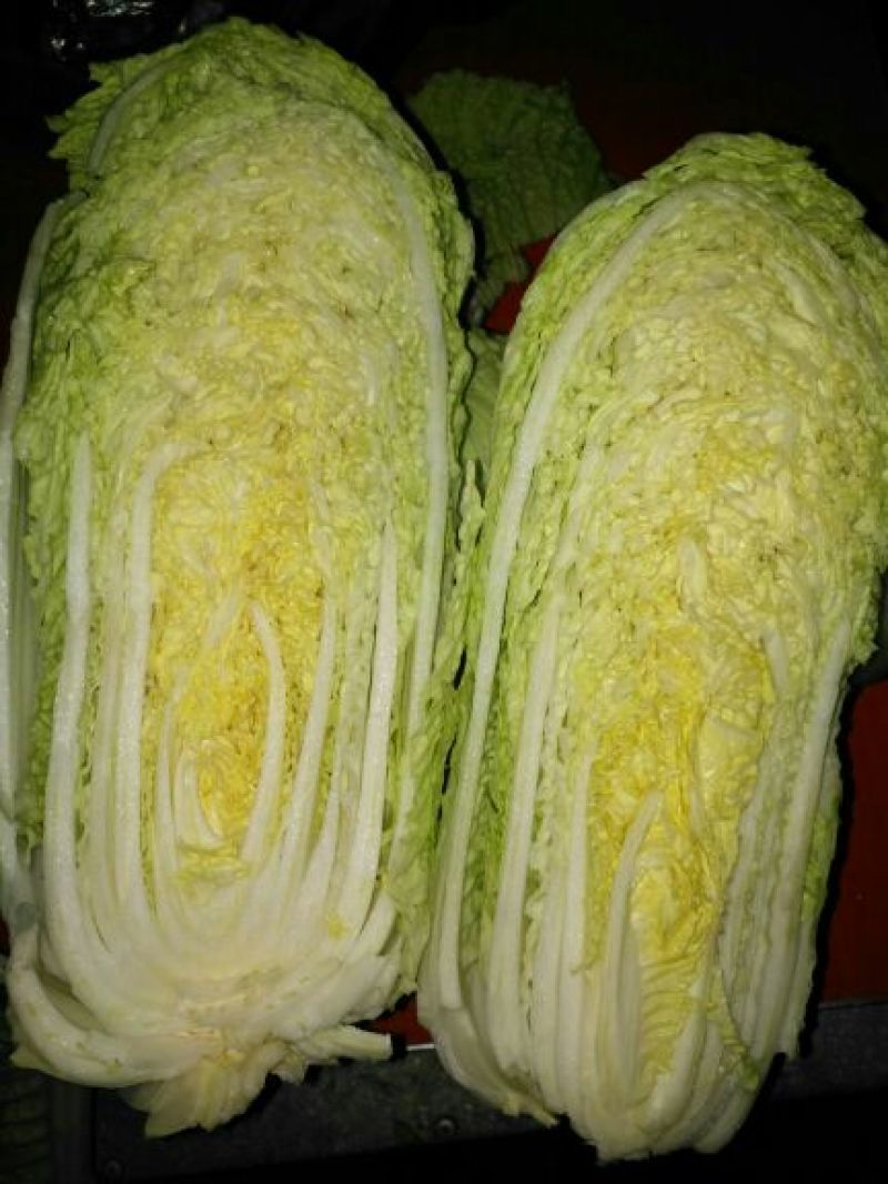 北京三号白菜净菜4~6斤，出口，商超，各大市场优选的