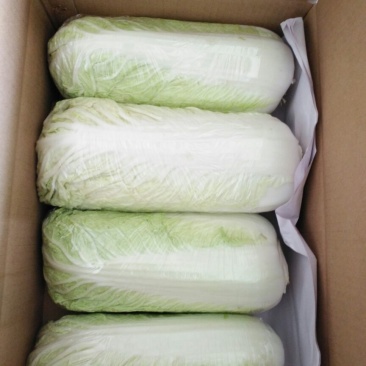 北京三号白菜净菜4~6斤，出口，商超，各大市场优选的