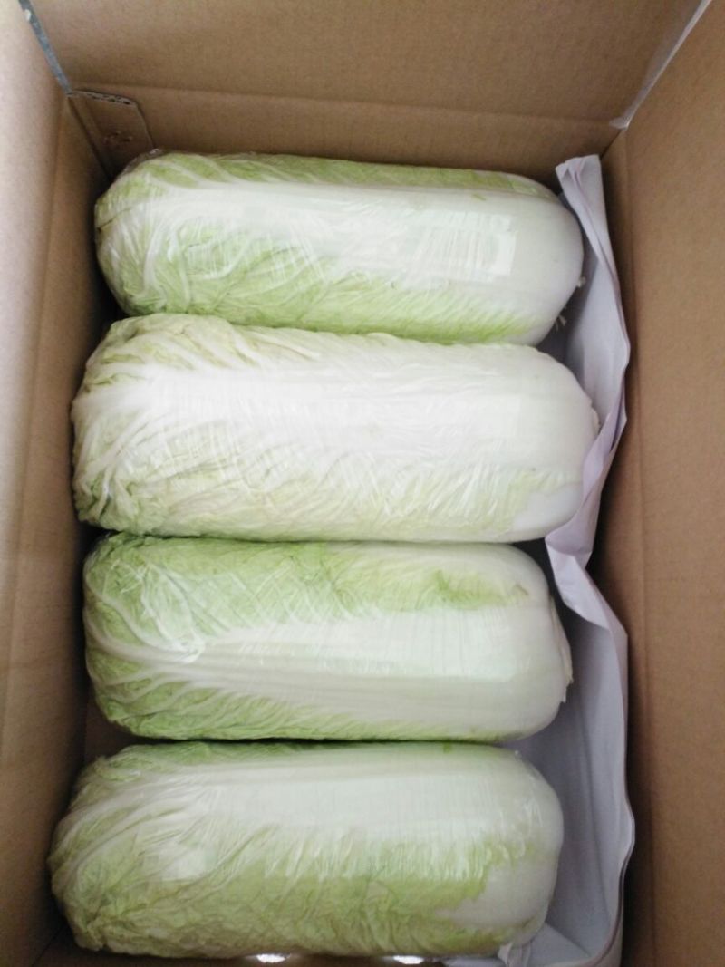 北京三号白菜净菜4~6斤，出口，商超，各大市场优选的
