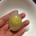 鸽子蛋食用