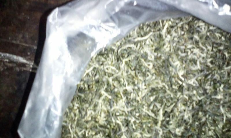 川茶一级
