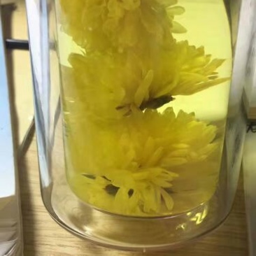 野菊花颗粒