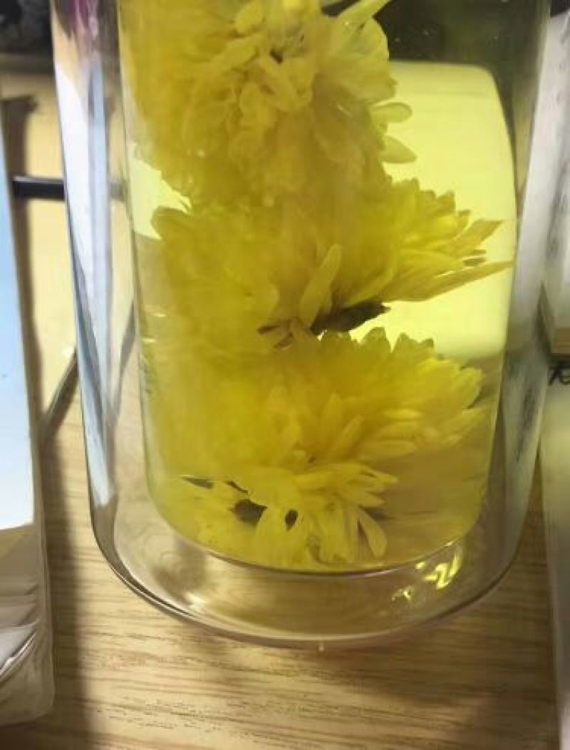 野菊花颗粒