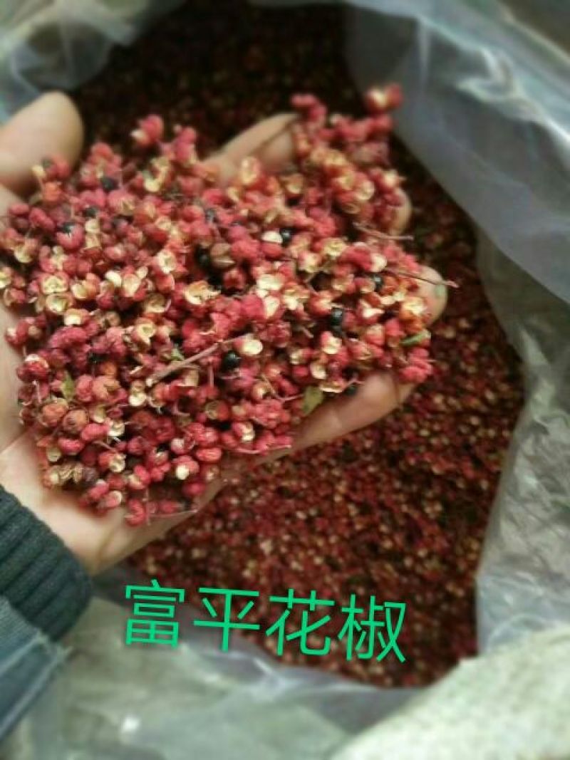 陕西富平农家天然晾晒大红袍新花椒一级大红袍荠椒，