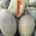 西州蜜瓜