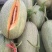 西州蜜瓜