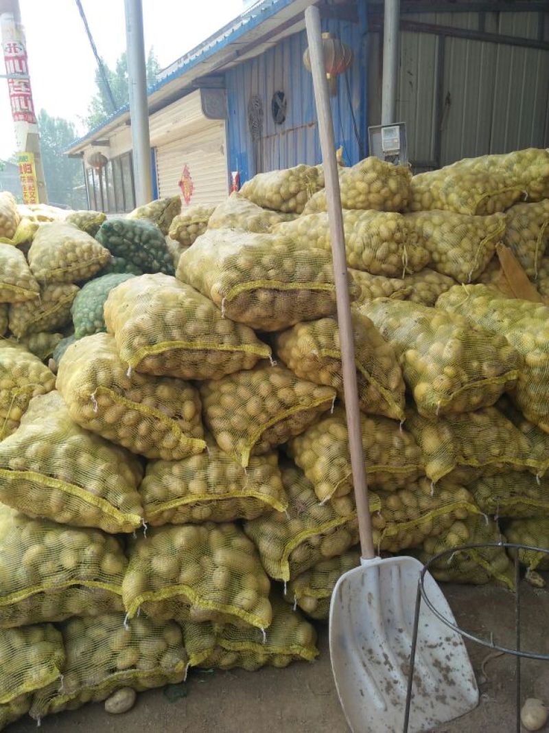土豆次货1两以下