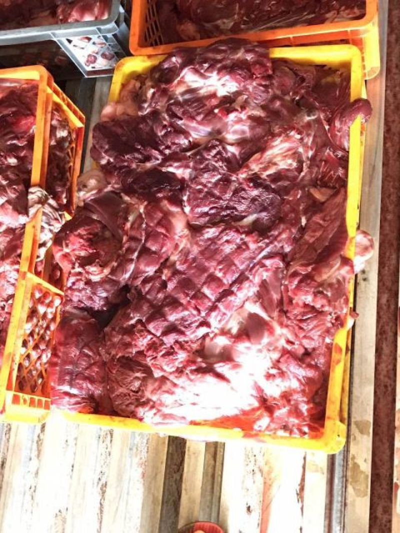 驴肉冻货