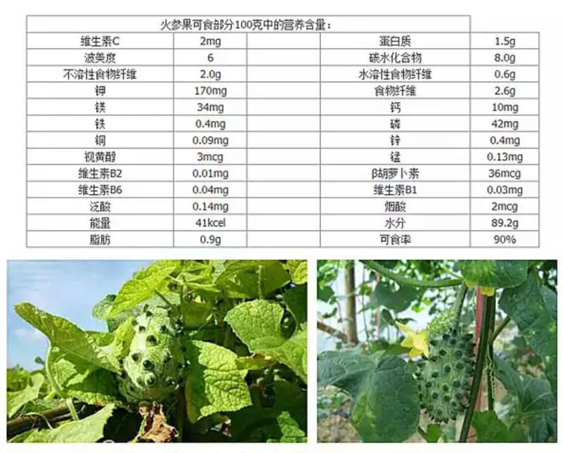 刺角瓜0.5斤以上