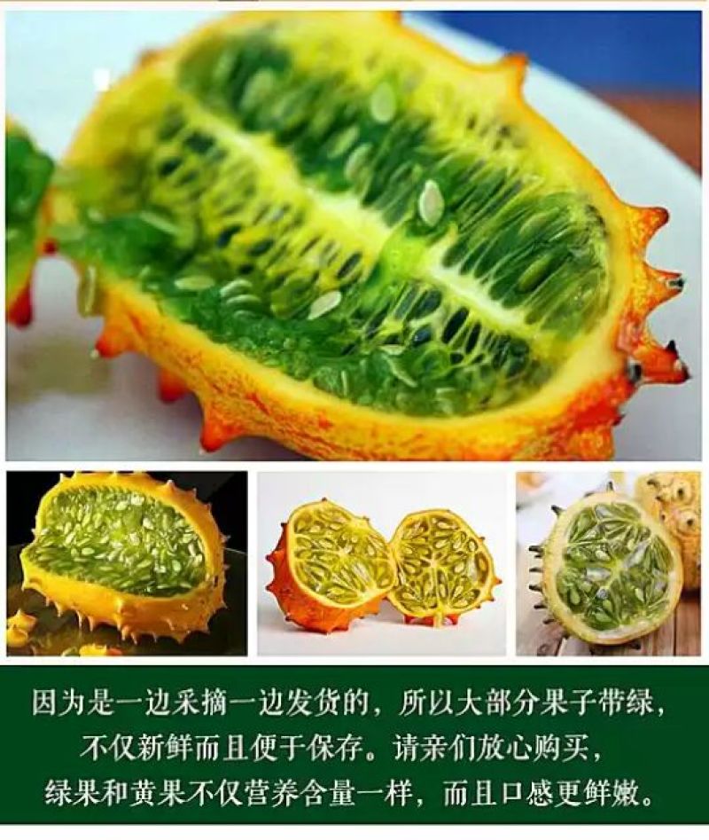 刺角瓜0.5斤以上