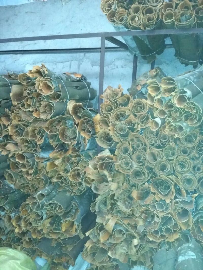 薄肉桂散装统货