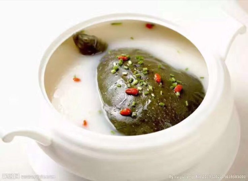 野生甲鱼