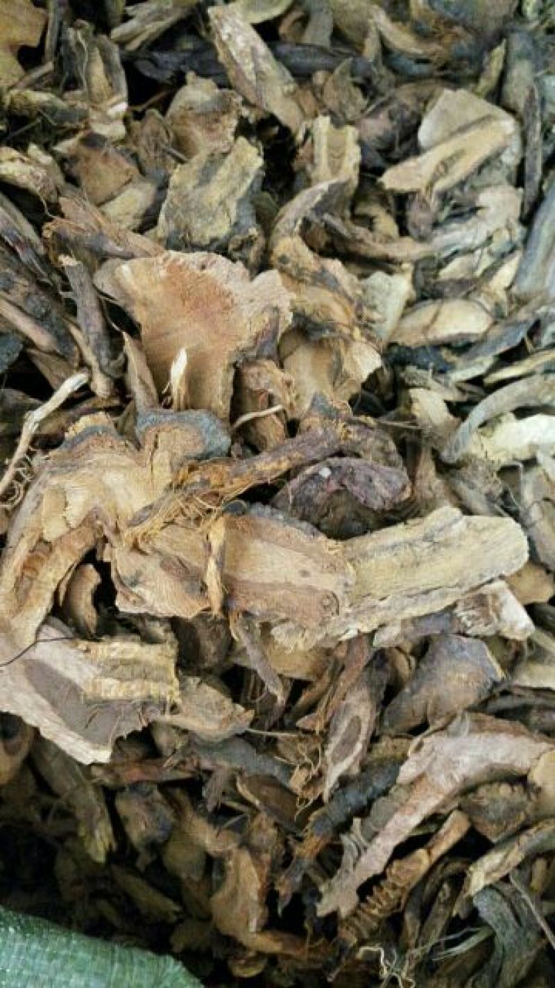 虎杖中药材虎杖虎杖片