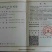 青钱柳茶二级