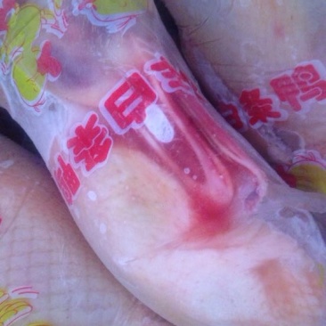 白条鸭